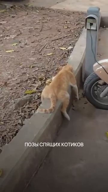 Где устал, таи и заснул.