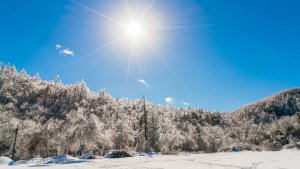 Как встретить новый 2026 год