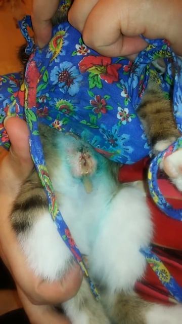 Пупик смотреть онлайн