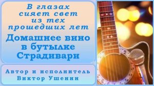 Домашнее вино в бутылке Страдивари (Песни о встрече) - Виктор Ушенин