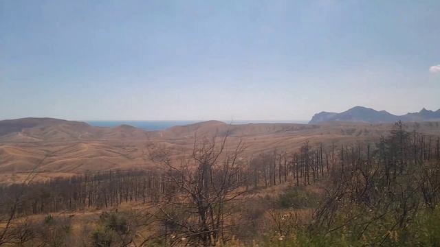 Феодосия берег моря смотреть онлайн