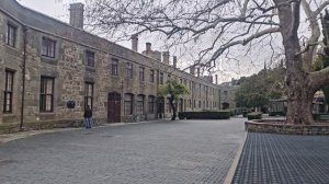 Прогулка по Алупке 14 декабря 2025г. Воронцовский парк и дворец