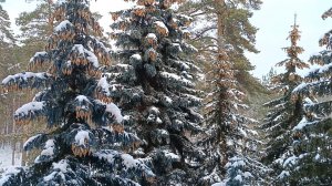 ПРЕКРАСНЫЕ МГНОВЕНИЯ УЛУЧШАЮТ НАСТРОЕНИЕ