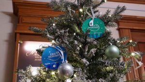 ДЕПУТАТЫ КРАЕВОГО ПАРЛАМЕНТА ТРАДИЦИОННО ПОДДЕРЖАЛИ «ЁЛКУ ЖЕЛАНИЙ»