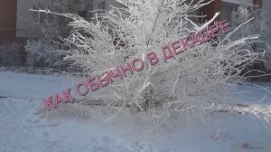 КАК ОБЫЧНО В ДЕКАБРЕ (акустика) - Жанна Вишнякова Арс