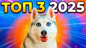 ТОП 3 ЛУЧШИХ СЕРИЙ 2025 ГОДА! Хаски Бандит Говорящая собака