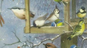 Дерутся , но о еде не забывают      ПОДПИШИСЬ