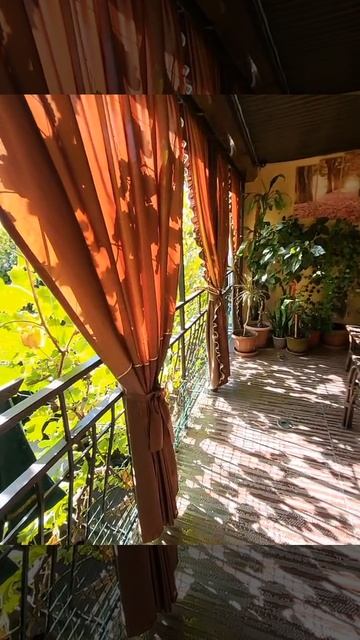 WhatsApp Video 2025-12-19 at 10.38.35 (1) смотреть онлайн