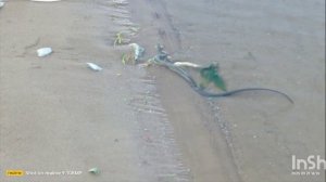 РЫБАЛКА АСТРАХАНЬ 2025
ДВОЕ В ПАЛАТКЕ и СОБАКЕН
часть 3