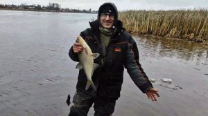 По реке плывет лёд ,а мы ловим на фидер.