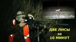 Две ЛИСЫ за 10 минут!!! Открыли сезон лисьего сафари!