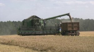 Рост сельскохозяйственного производства в Воронежской области  превышает общероссийский уровень