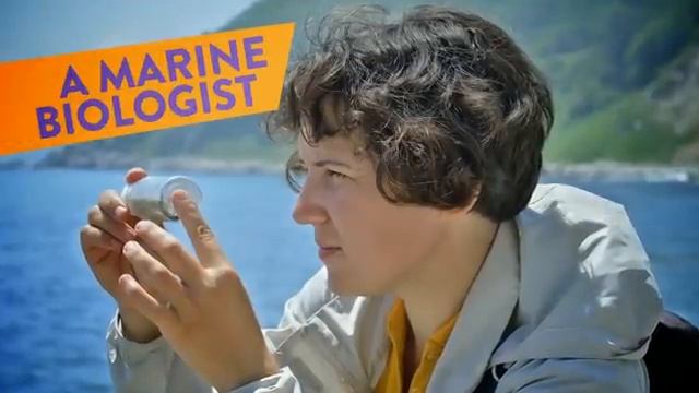 Jobs I Can Have When I Grow Up смотреть онлайн