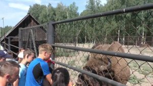 Поход на байдарках по рекамПра и Ока вид 18