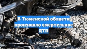 В Тюменской области произошло смертельное ДТП