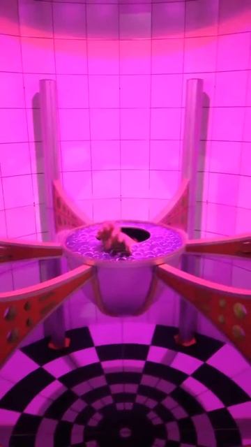 Галилео 3 с Мишей 16.07.2017 смотреть онлайн