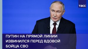 Путин на прямой линии извинился перед вдовой бойца СВО