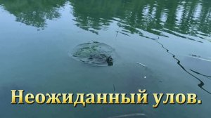 Рыбалка. Неожиданный улов