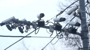 Приятелей наказали за заезд по Омску с двумя рулями