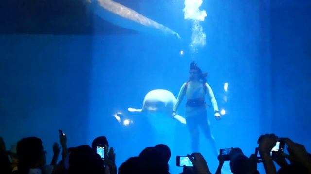 POLAR LAND HARBIN part 4