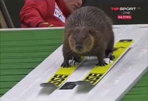 ИИ творят чудеса🤣