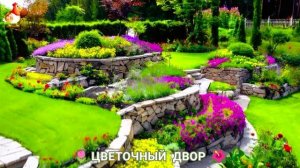 Цветы на участке и во дворе как красиво посадить фото идеи для вдохновения (205)