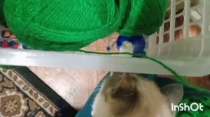 2024.г.Вяжу 🧶 связала 🧶 буду вязать 🧶 ❄️❄️❄️