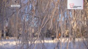 РЕЗКИЕ ПОХОЛОДАНИЯ