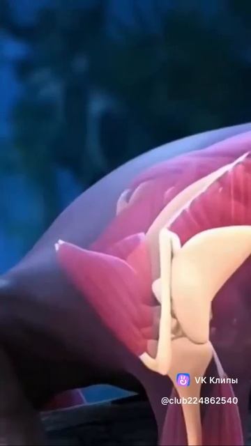 Интересно и любопытно