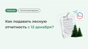 Как подавать лесную отчетность с 12 декабря?