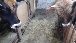 И такая дребедень целый день, каждый день