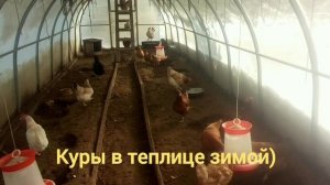 под трек "розовая пантера"