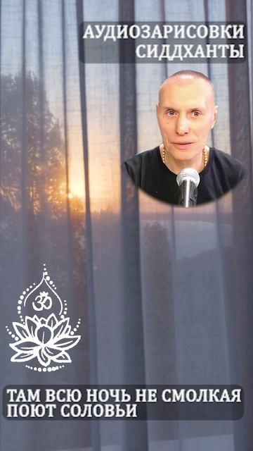 Там всю ночь не смолкая поют соловьи. Аудиозарисовки Сиддханты (Вячеслава Чернина)
