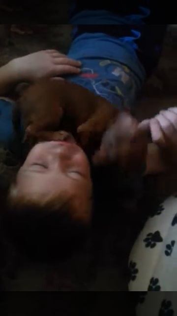 Маленькая Джема июнь 2016 смотреть онлайн