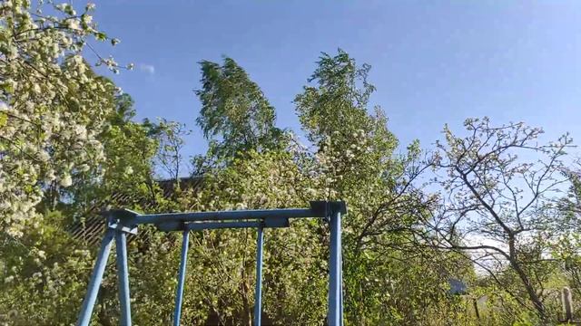 17-ДАЧА .рассадила огурцы.. грецкий орех проснулся😁2 часть(24.05.21.) смотреть онлайн