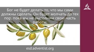 19 декабря 2025. Молитва и дела. Под сенью благодати | Адвентисты