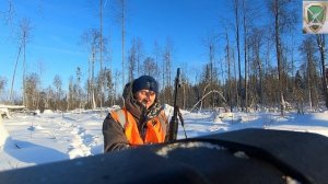 Загонная охота на лося 17.12.2025