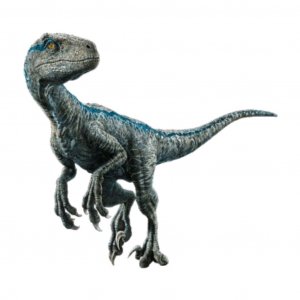 открываю книжки про динозавров