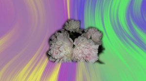 Вальс цветов