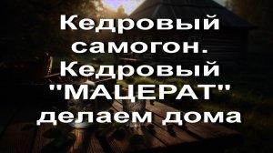 Кедровый самогон. Кедровый "МАЦЕРАТ" делаем дома