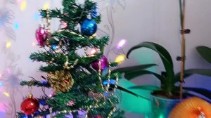 #с днем рождения меня