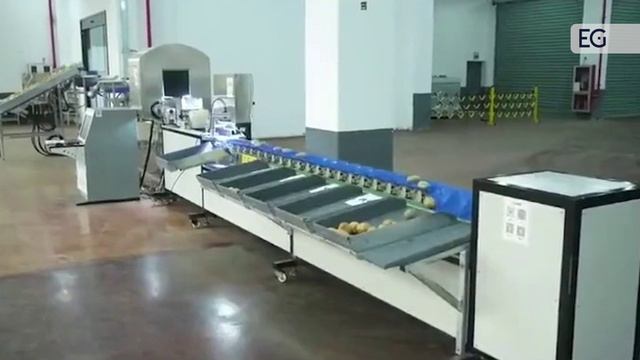 Автоматическая линия для переработки картофеля XDS-800F смотреть онлайн