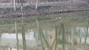 ОДИН, ГЛЯДЯ В ЛУЖУ, ВИДИТ В НЕЙ ГРЯЗЬ, А ДРУГОЙ__ОТРАЖАЮЩИЕСЯ ЗВЕЗДЫ.......