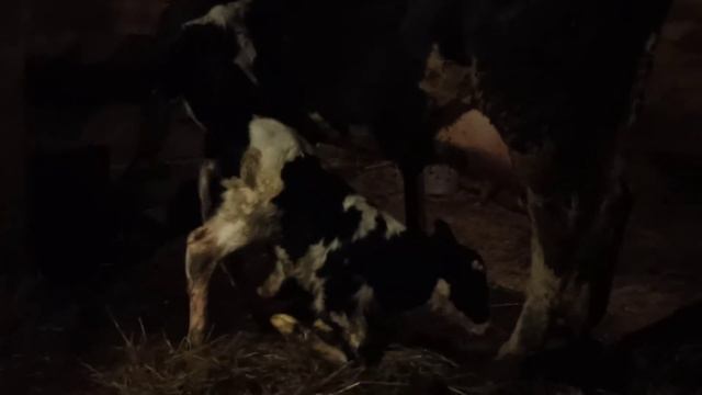 13 мая 2020 г.(1) смотреть онлайн