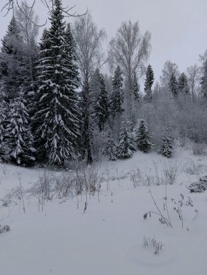 Дома.На номер карты 2200 0101 8250 0986 ГАЗПРОМБАНК закиньте 500 руб.
Ждём поддержки.