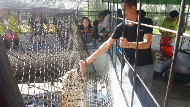 SAFARI PARK HARBIN part 15