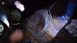 Поимки до зарыбления !