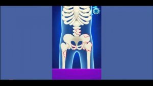 Для детей про профессии. Развивающее для детей. Врач , полицейский ,строитель