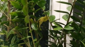 Милая девочка...