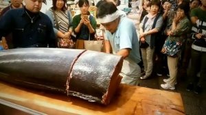 Демонстрационная Разделка Огромной Рыбы МАРЛИН ЯПОНИЯ Морепродукты Full-HDmp4